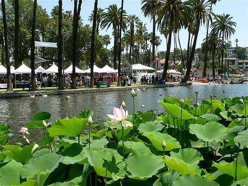 Lotus Festival | L.A. Parent