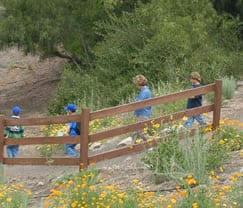 Nature Club at George F. Canyon Nature Center