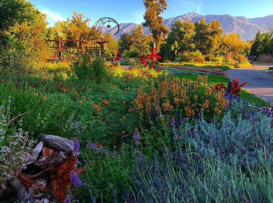 L.A. County Arboretum Open for Visits