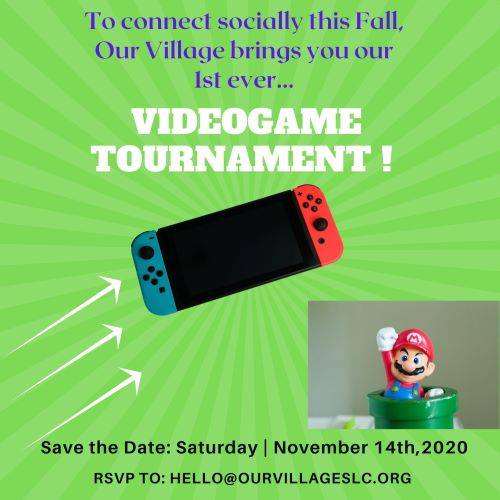 Our Village Videogame Tournament and Fun-raiser!