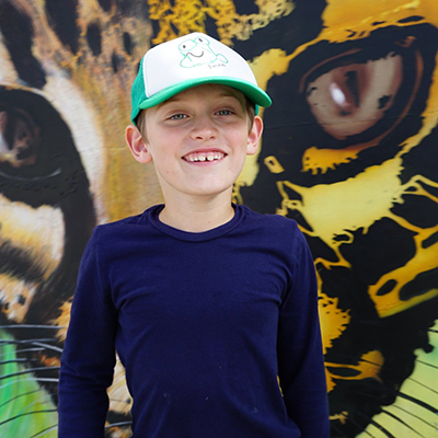 Three's Company: Baby Tigers in the Zoo's Nursery