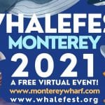 11th Annual Virtual Whalefest Monterey