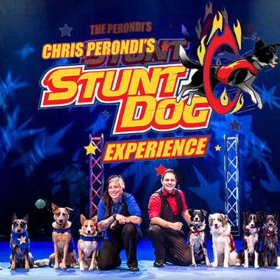 Chris Perondi’s Stunt Dog Experience