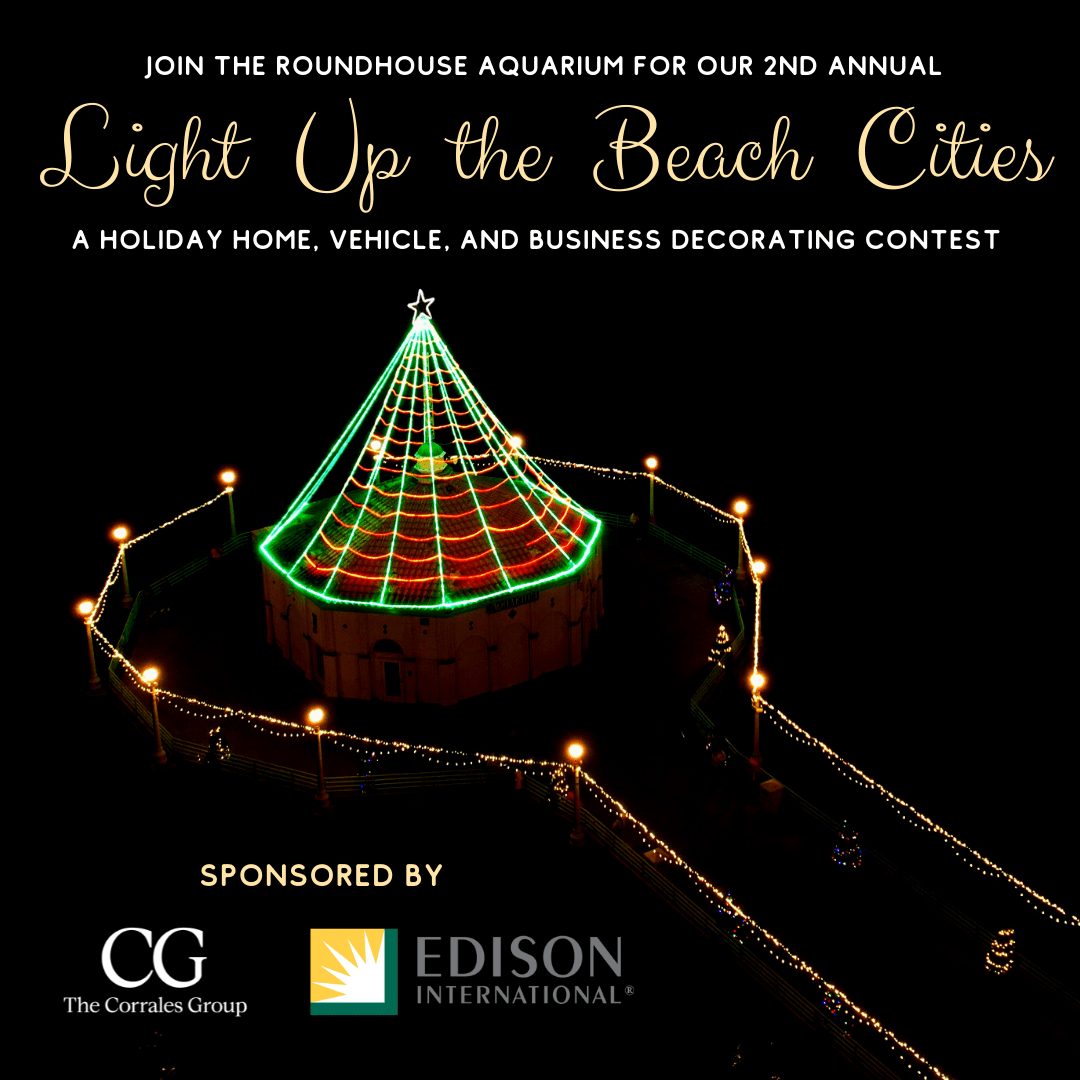 Light Up the Beach Cities Holiday Decorating Contest
