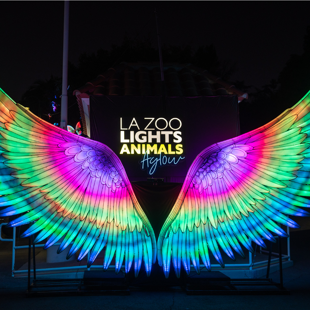 Pride Night at L.A. Zoo Lights