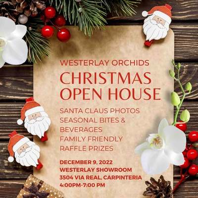 Westerly Orchids Christmas Open House