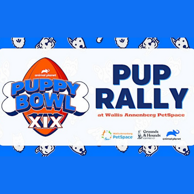 Pup Rally